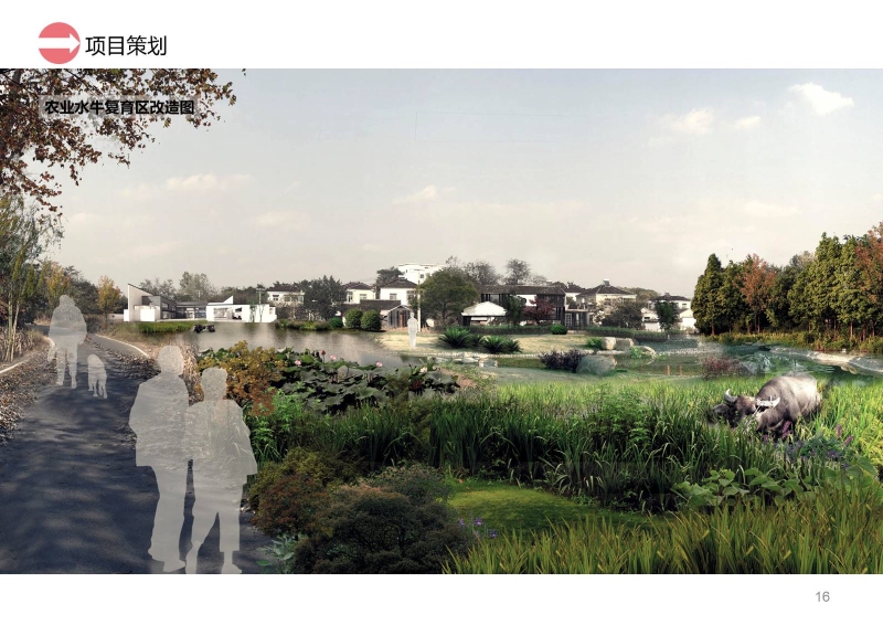 句容西庄片区开发建议书 (17).JPG