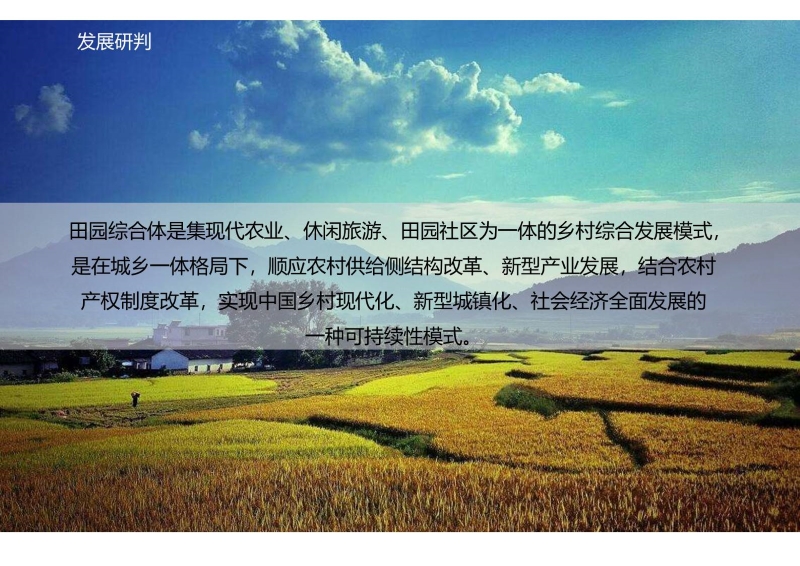 句容西庄片区开发建议书 (8).JPG
