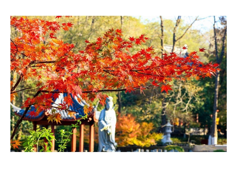 南京栖霞山片区旅游开发策划 (2).JPG