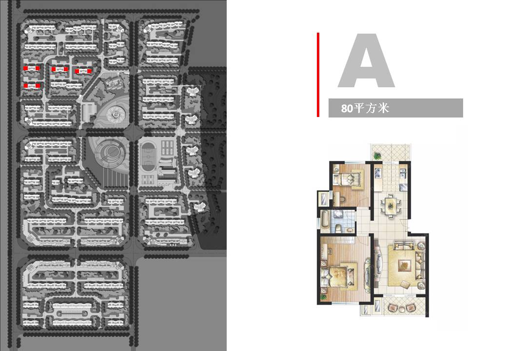 茶山9.JPG