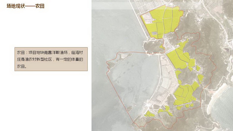 舟山4_调整大小.JPG